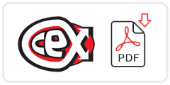 CeX Job Application Form Printable PDF