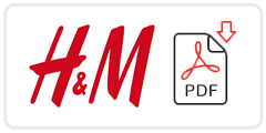 H&M Job Application Form Printable PDF
