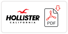 Hollister Job Application Form Printable PDF