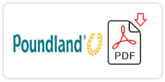 Poundland Job Application Form Printable PDF