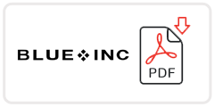Blue Inc Job Application Form Printable PDF