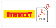 Pirelli Job Application Form Printable PDF