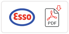 Esso Job Application Form Printable PDF