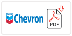 Chevron Job Application Form Printable PDF