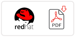 Red Hat Job Application Form Printable PDF