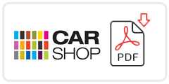 CarShop Job Application Form Printable PDF